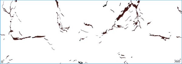 (g) Fractures developed pattern in ZS3-6 (225-235 cm)