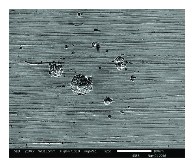(c) CS-SS 321, CS specimen