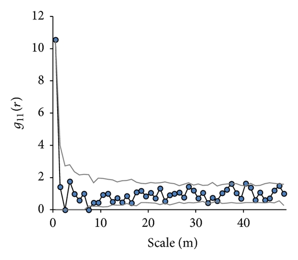 (c) C. parthenoxylon (HDF)