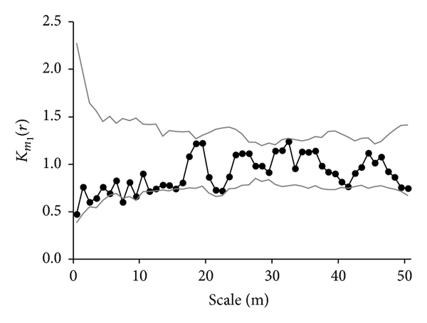 (g) C. parthenoxylon (UDF)