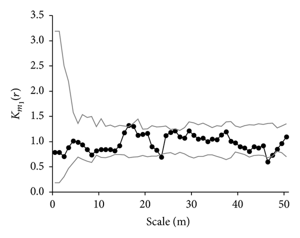 (j) N. melliferum (LDF)