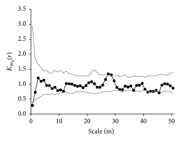 (k) N. melliferum (UDF)