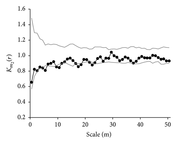(f) S. Cuminii and N. Melliferum (UDF)