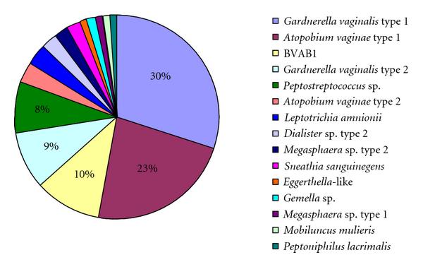 (a) Forward primer—338f