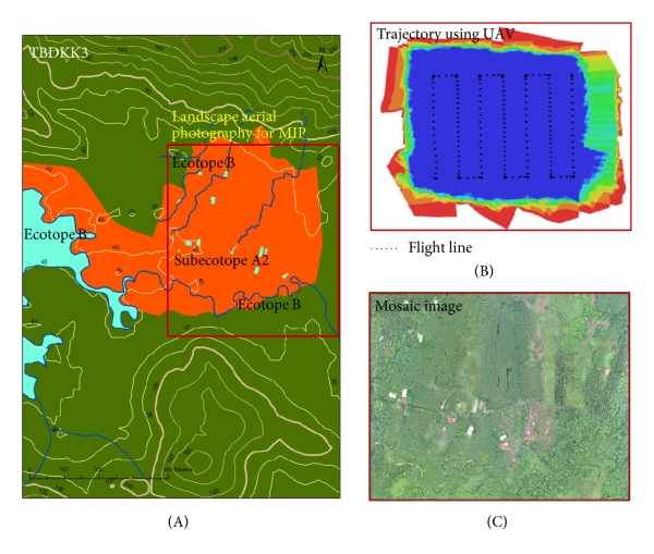(a) Malaria infection pocket (MIP) of Klong Khak MRP ecotope (TBDKK3) Dan Chumphon TCA, Trat