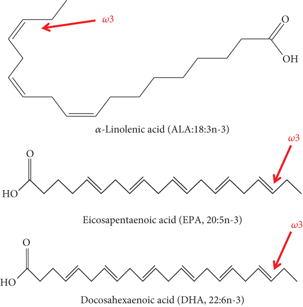 (a) ω-3 polyunsaturated fatty acids